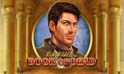 Book of Dead slot by Play n GO